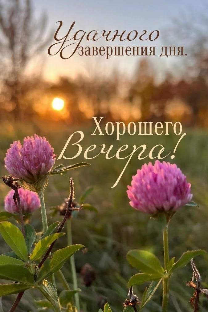 Чудесного завершения дня! Доброй ночи!