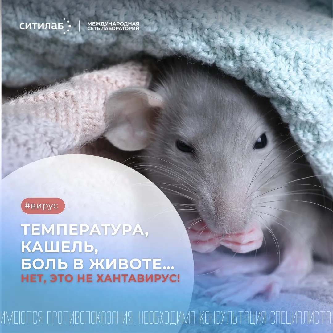 Температура, кашель, диарея. Нет, это не хантавирус 🦠