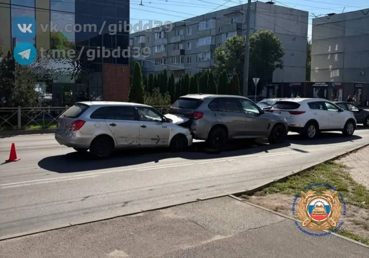 Изображение 1 к публикации «Янтарный ДЛБ. Калининград»
