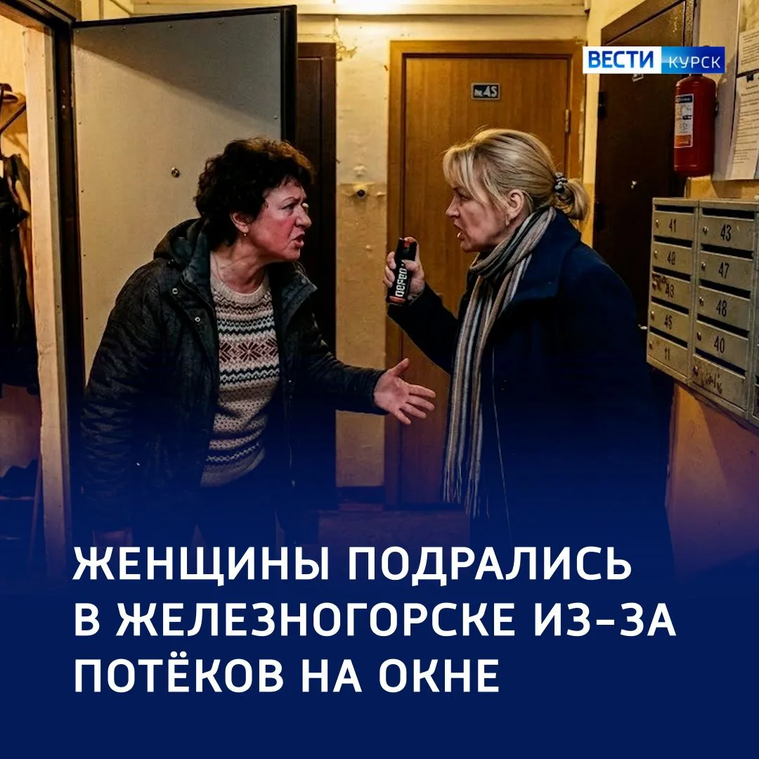 🥊 Битва за стеклопакет: две курянки подрались из-за грязного окна