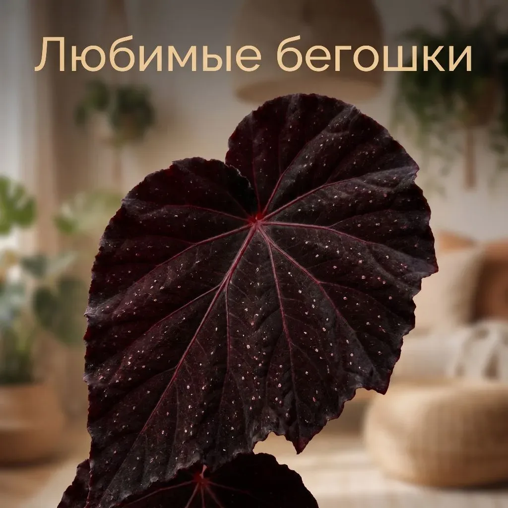 ℹ️ Информация о канале/чате: