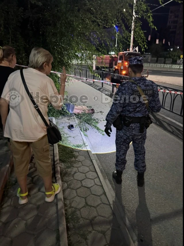 🌳 Два часа уговаривали слезть с дерева: в Магнитогорске мужчина в неадекватном состоянии сорвался с