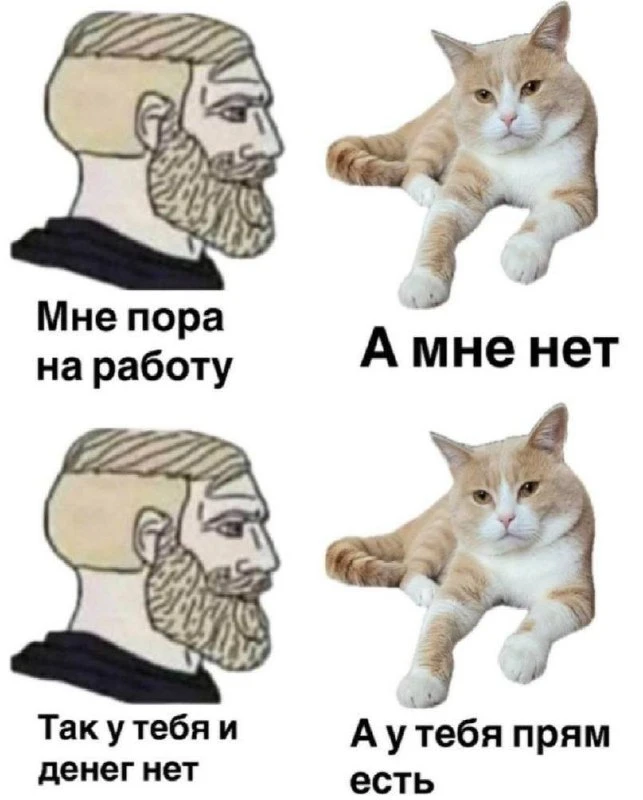 Мемы каждый день • Подписаться