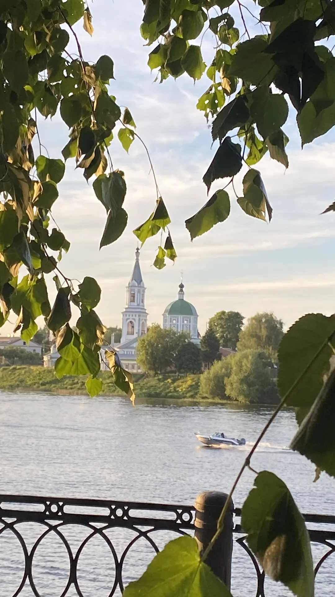 Вчера наслаждалась прогулкой до позднего вечера. А в 00:01 приняла поздравление с Днем ...