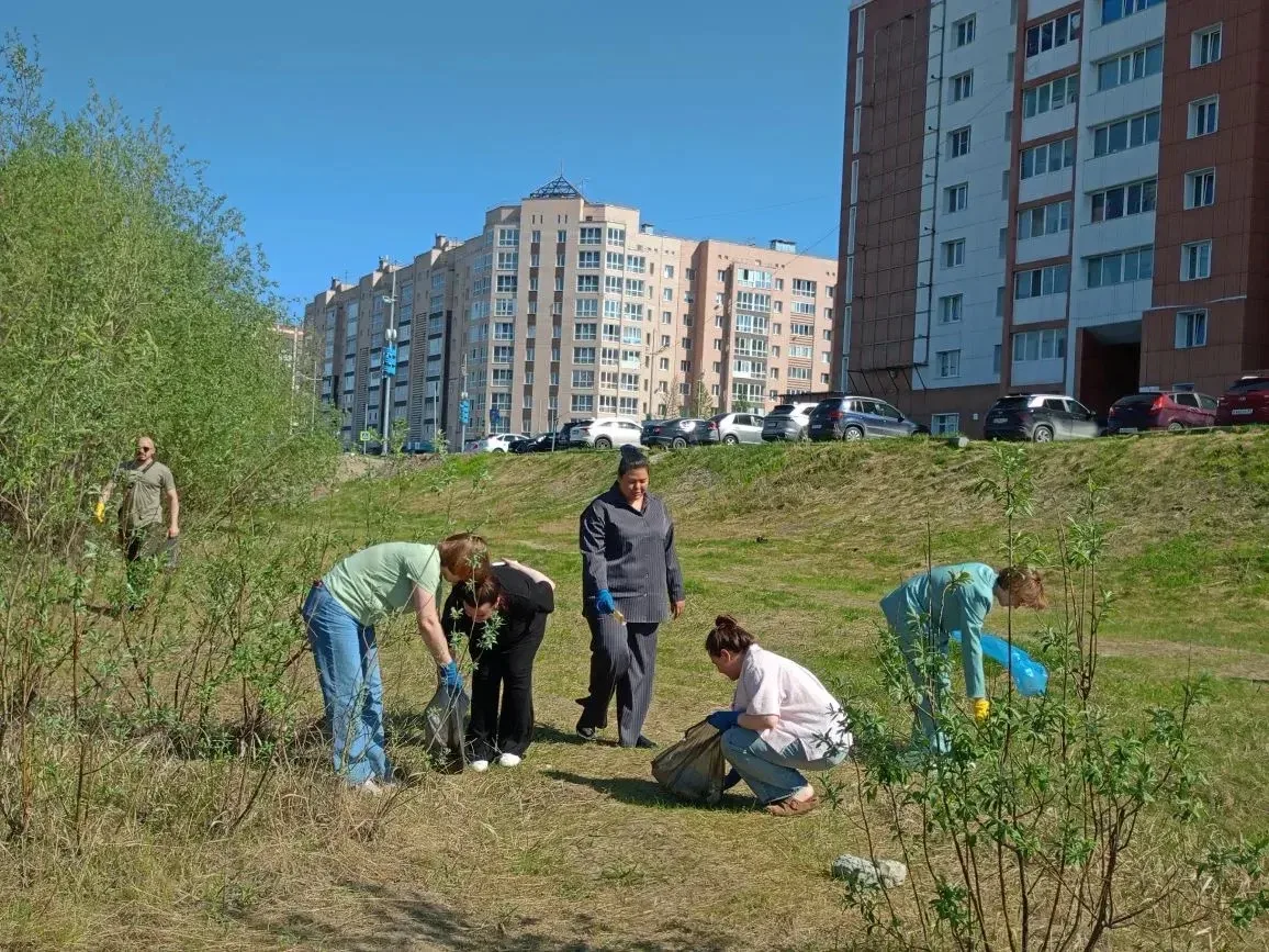 Библиотеки Нового Уренгоя – на страже чистоты

🌿 Сегодня сотрудники библиотечной системы вновь вышл