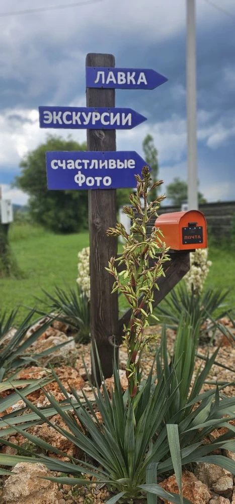 Июньские прогулки...