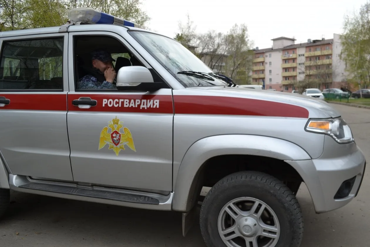 🚔 В ЕАО пропавшую сутки назад девочку нашли спящей ночью в авто без номеров на обочине