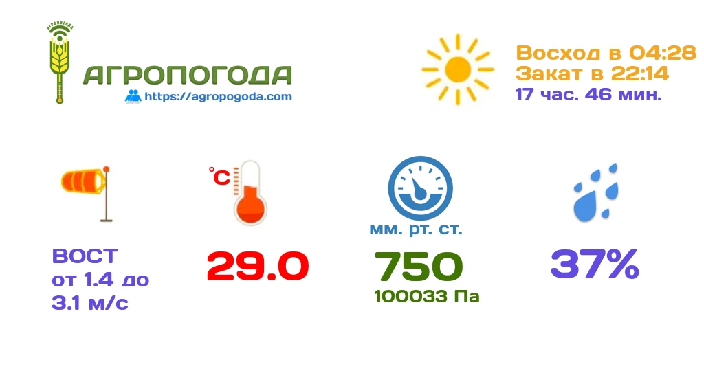 Агрометеорологическая сводка на 21.06.2026 (17:43)

Текущая температура 29.0 °C, влажность 37 %, сре