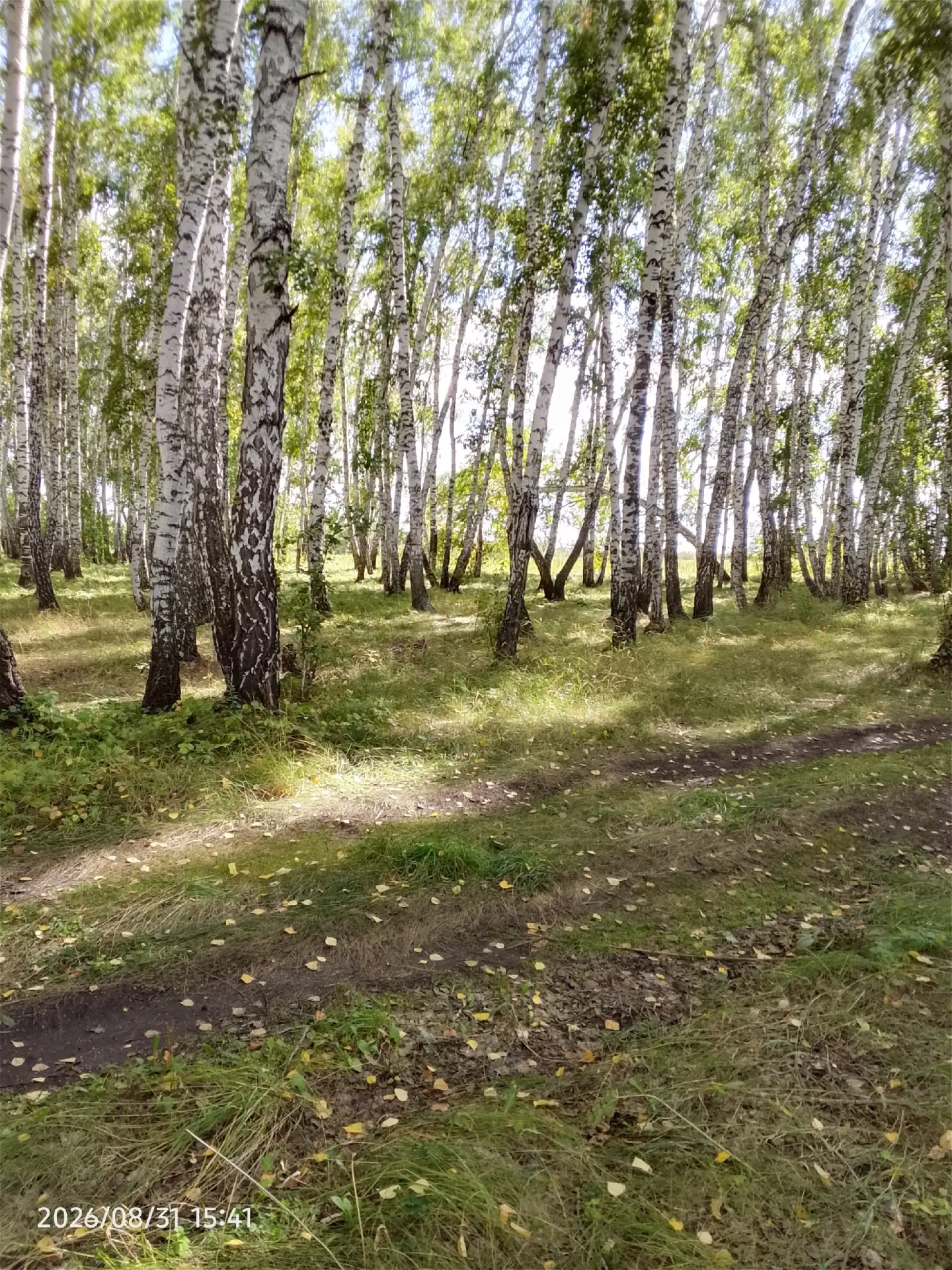 Доброе утро