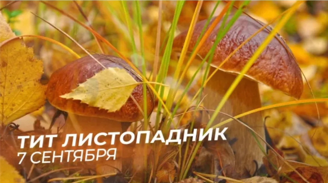 🍃РУБРИКА НАРОДНЫЙ КАЛЕНДАРЬ