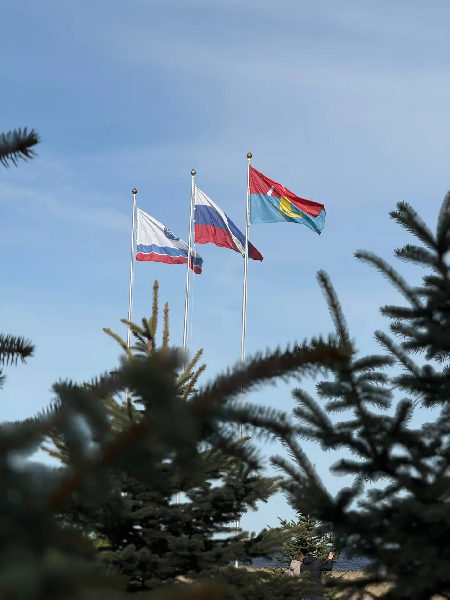 Янино | Новое Янино | Колтуши | Санкт-Петербург🏡

☀️С добрым утром! Желаем приятных выходных!

Исто