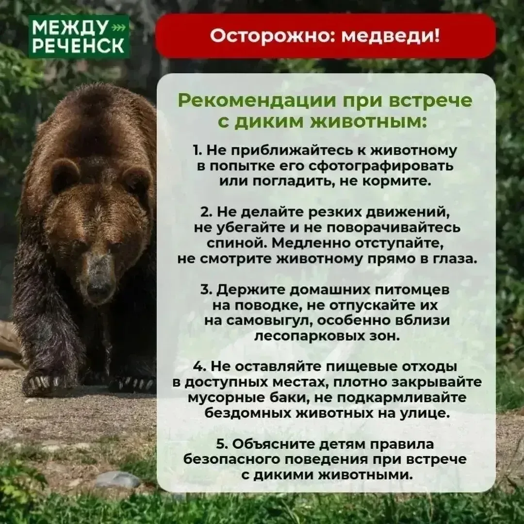 ‼️Друзья, лето — время походов и путешествий. Однако, отправляясь в лес, помните: вы на...