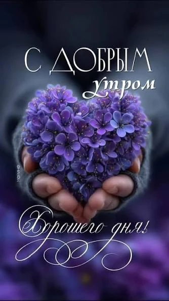 Список качественных каналов в МАКС | Смотреть ❤️