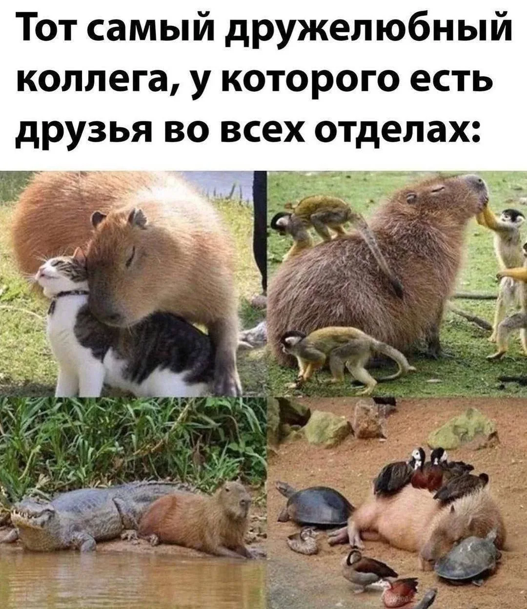 а кто сегодня ты?)