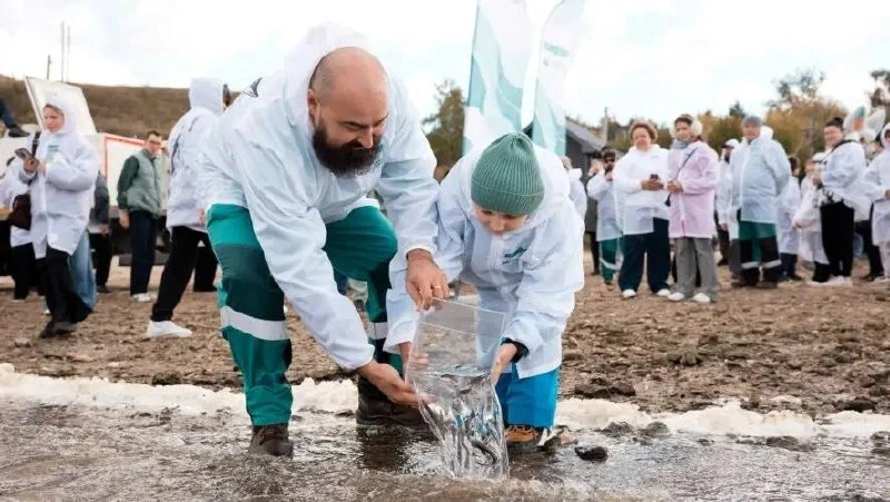 🐟 Полсотни тысяч краснокнижных мальков стерляди пополнили Волгу