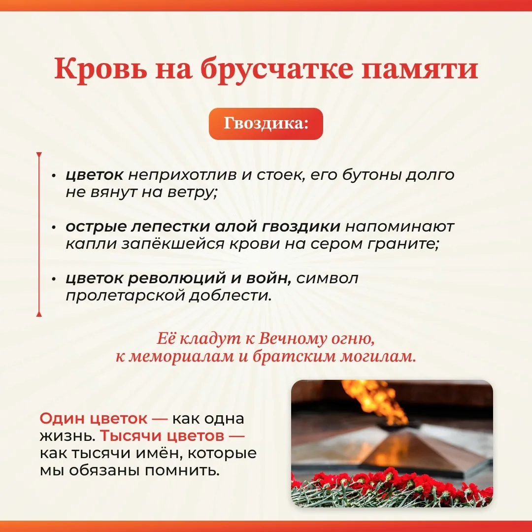 ❓Знаете, что самое ценное в 9 Мая? Не марши, не салюты - а те крошечные детали, из которых складывае