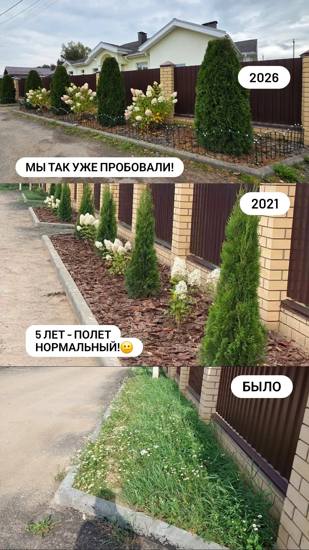 🌸Гортензии можно сажать не только внутри участка, но и со стороны улицы