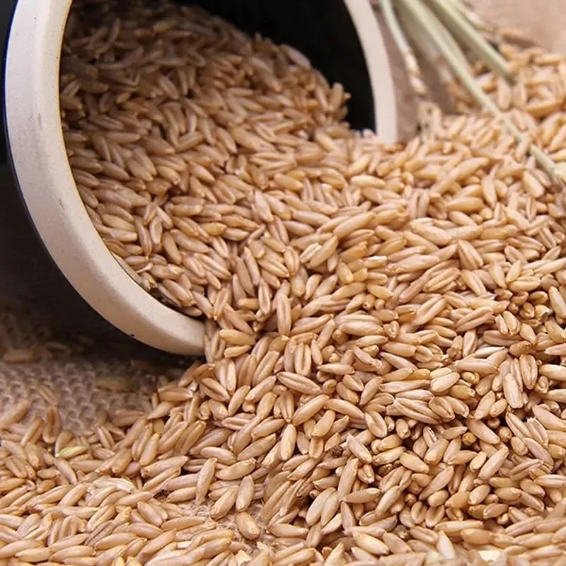 ОГБПОУ «Кривошеинский агропромышленный техникум реализует зерно: овес по цене 10 рублей...