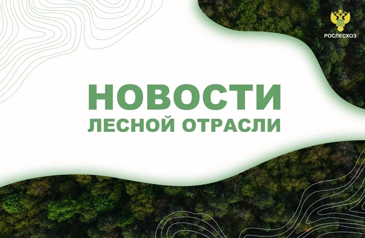 🟢 РИА Новости: В Рослесхозе рассказали, где будут бороться с американским кленом

🟢 Комсомольская 