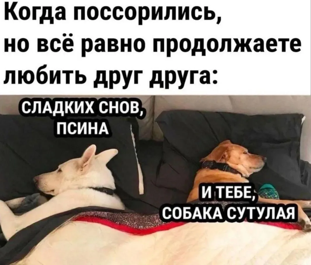 КуЗьМа в ТеМе