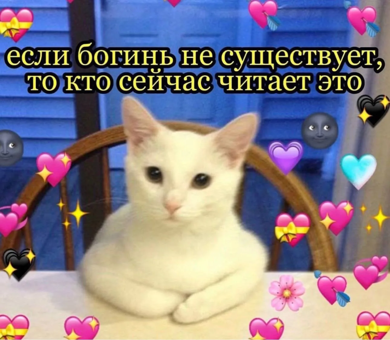 Вас спрашиваю!