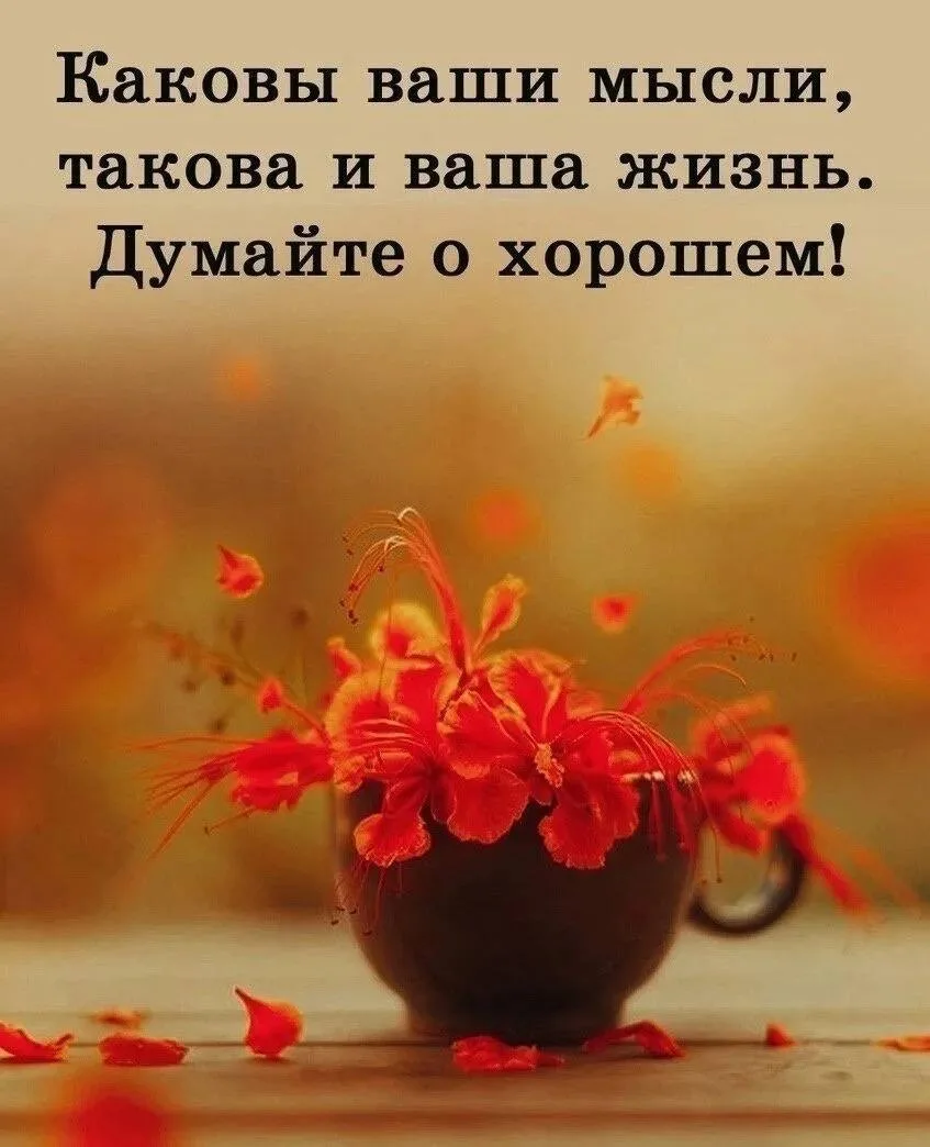 Цитаты жизни