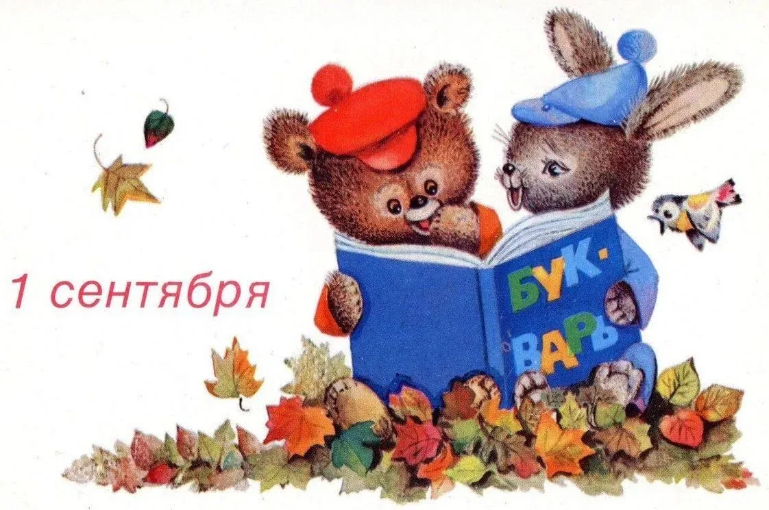 Дорогие наши выпускники!