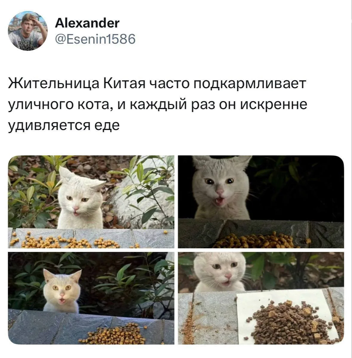 Девчата - Подписаться