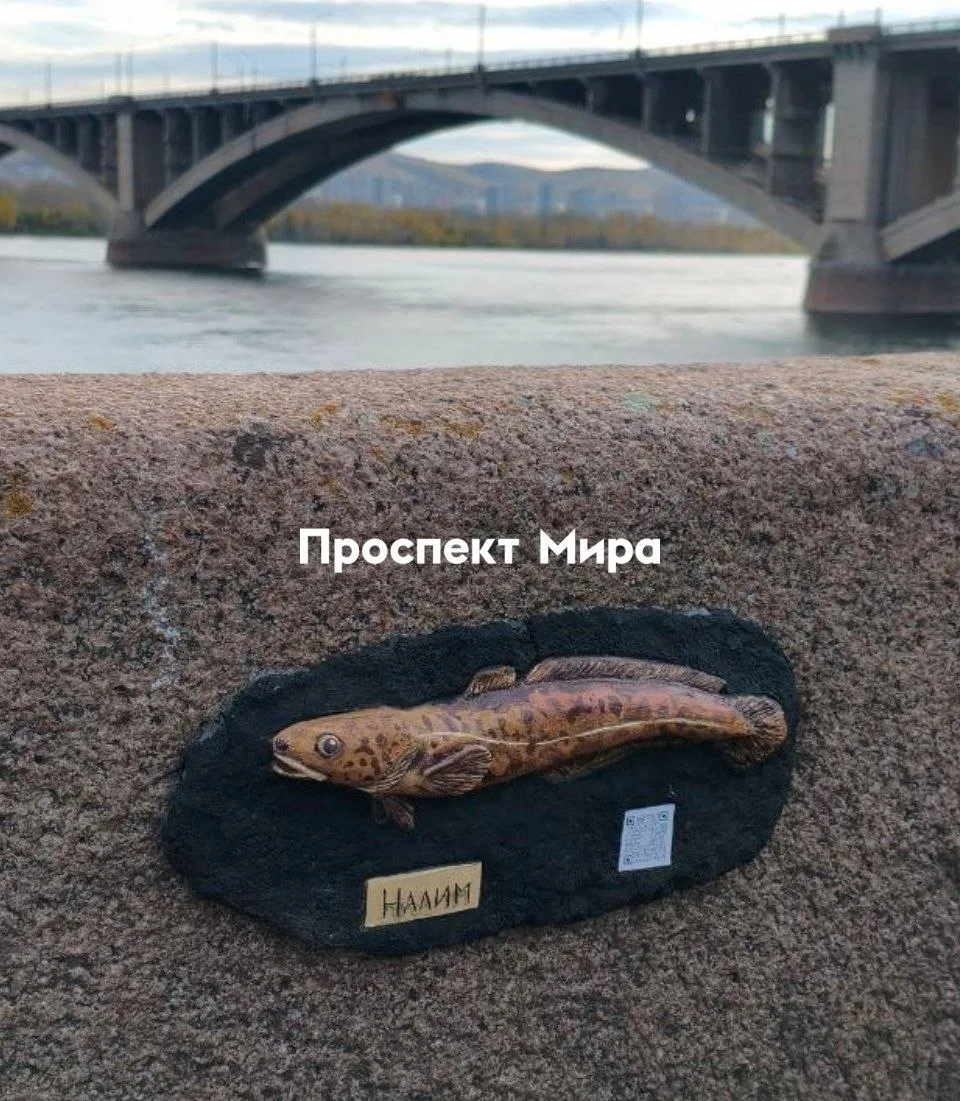 ❗️На ограде Центральной набережной появился маленький налим