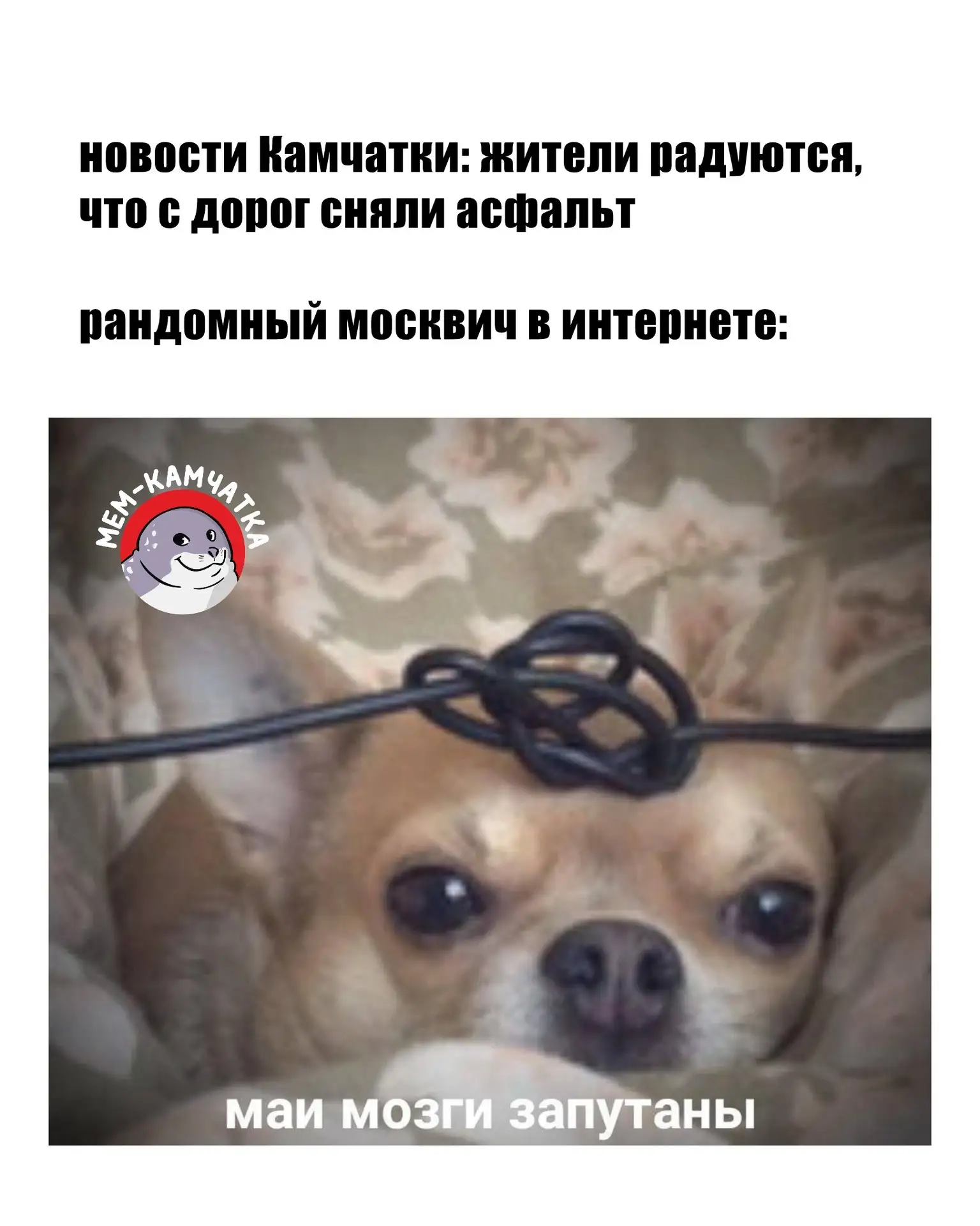 Им не понять, какое это счастье…