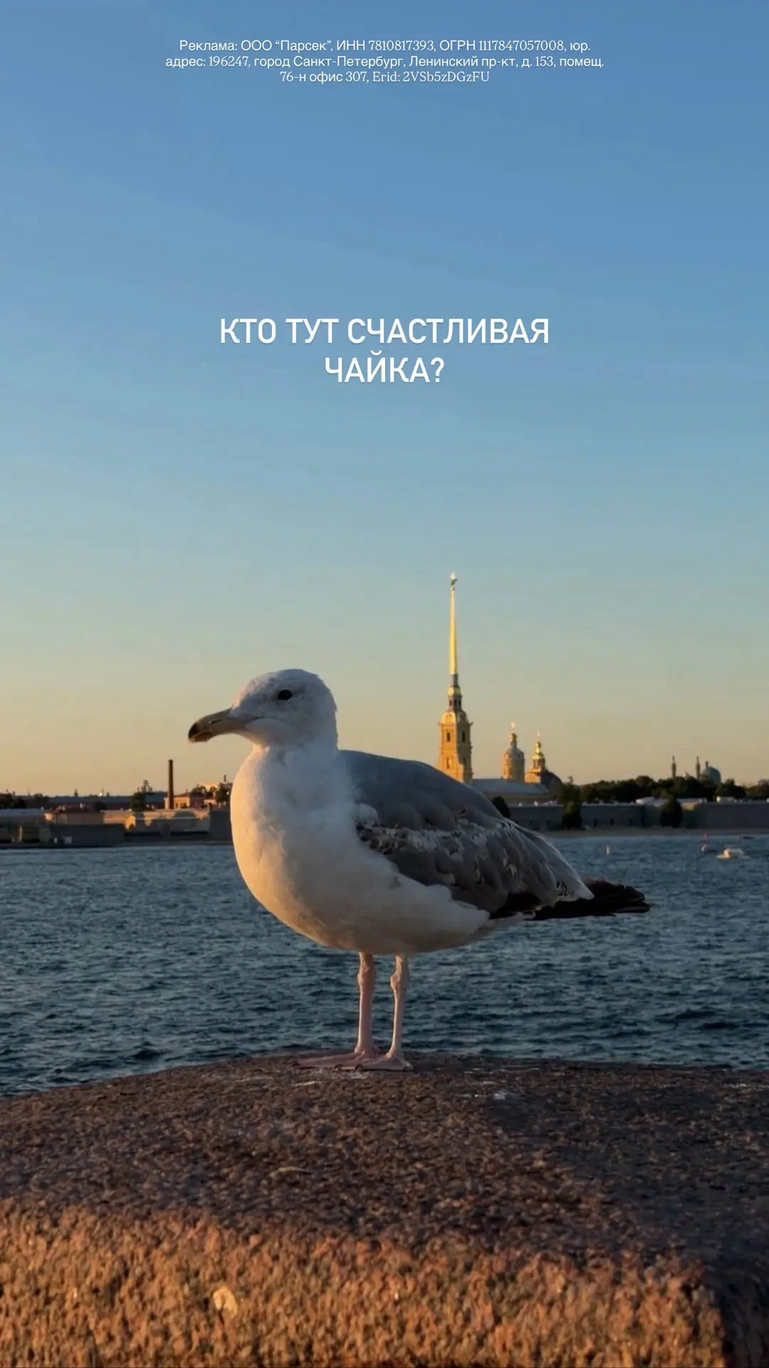 Осталось несколько часов до окончания акции⤵️

ПОСЛЕДНИЙ ВАГОН