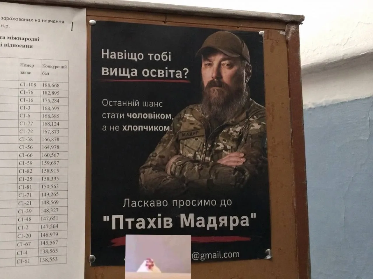 Такие вот агитки в украинских ВУЗах. "Зачем тебе высшее образование?". Окопы лучше, "единственный ша