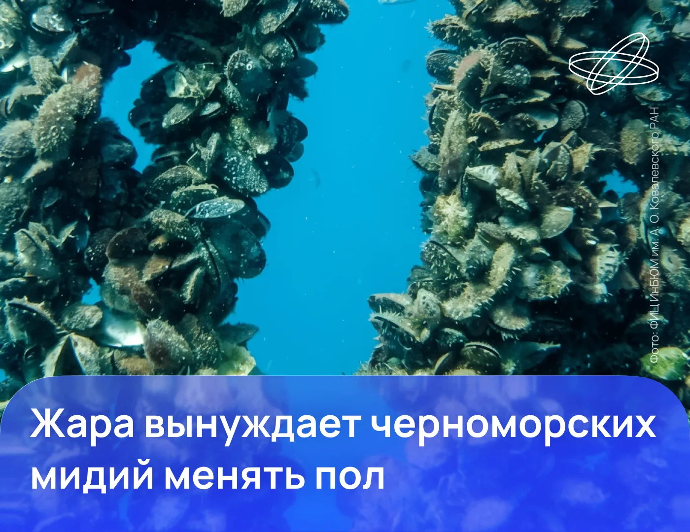 Изображение 1 к публикации «НАУКА.РФ»