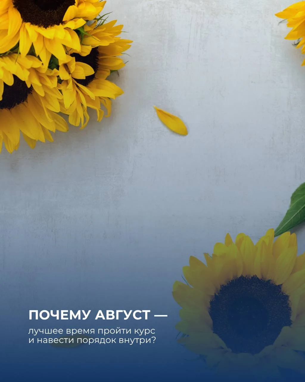 Почему август — лучшее время пройти курс и навести порядок внутри?