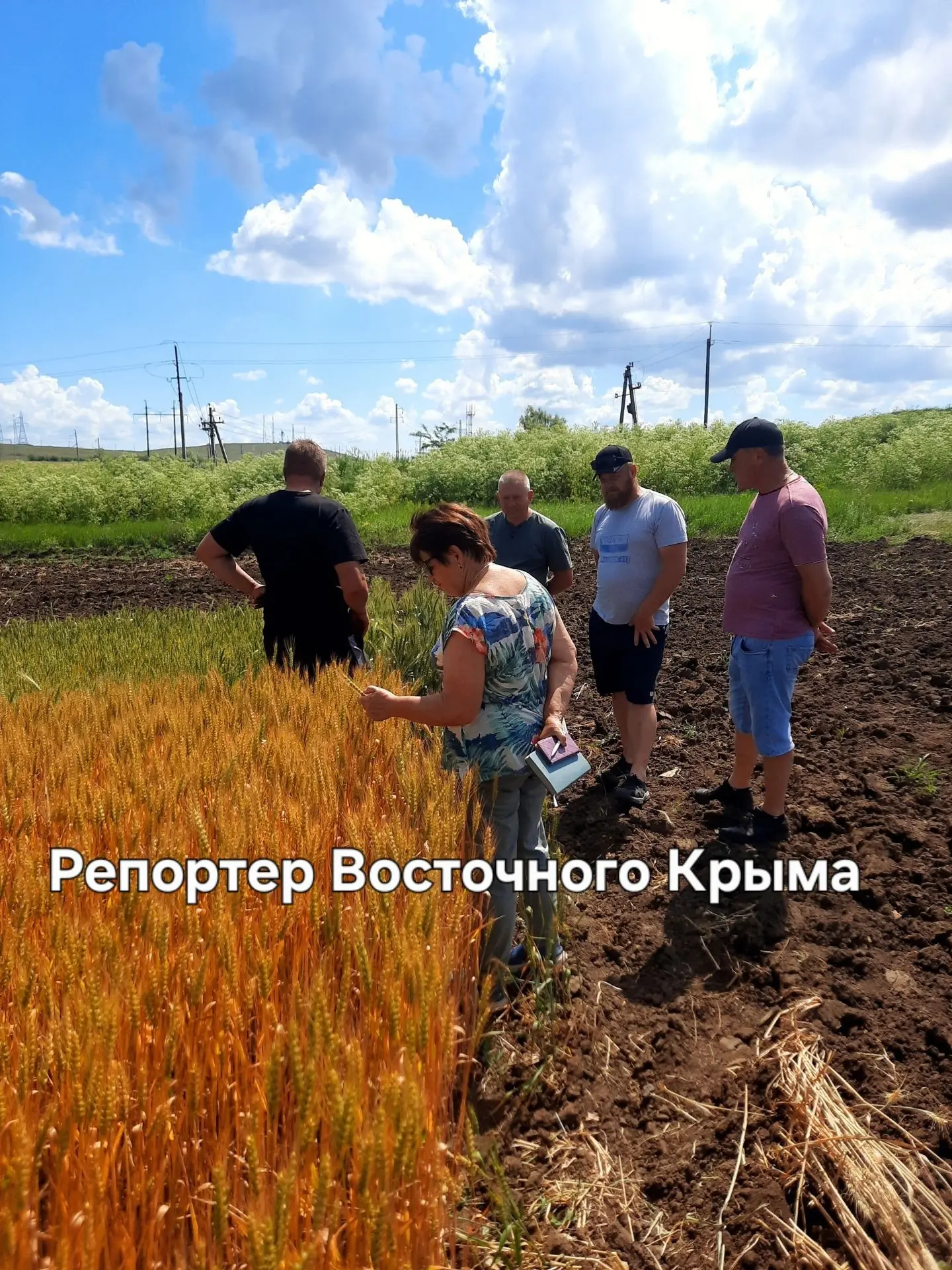 В Ленинском районе показали лучшие поля озимых перед жатвой

Как сообщили газете #РепортерВосточного