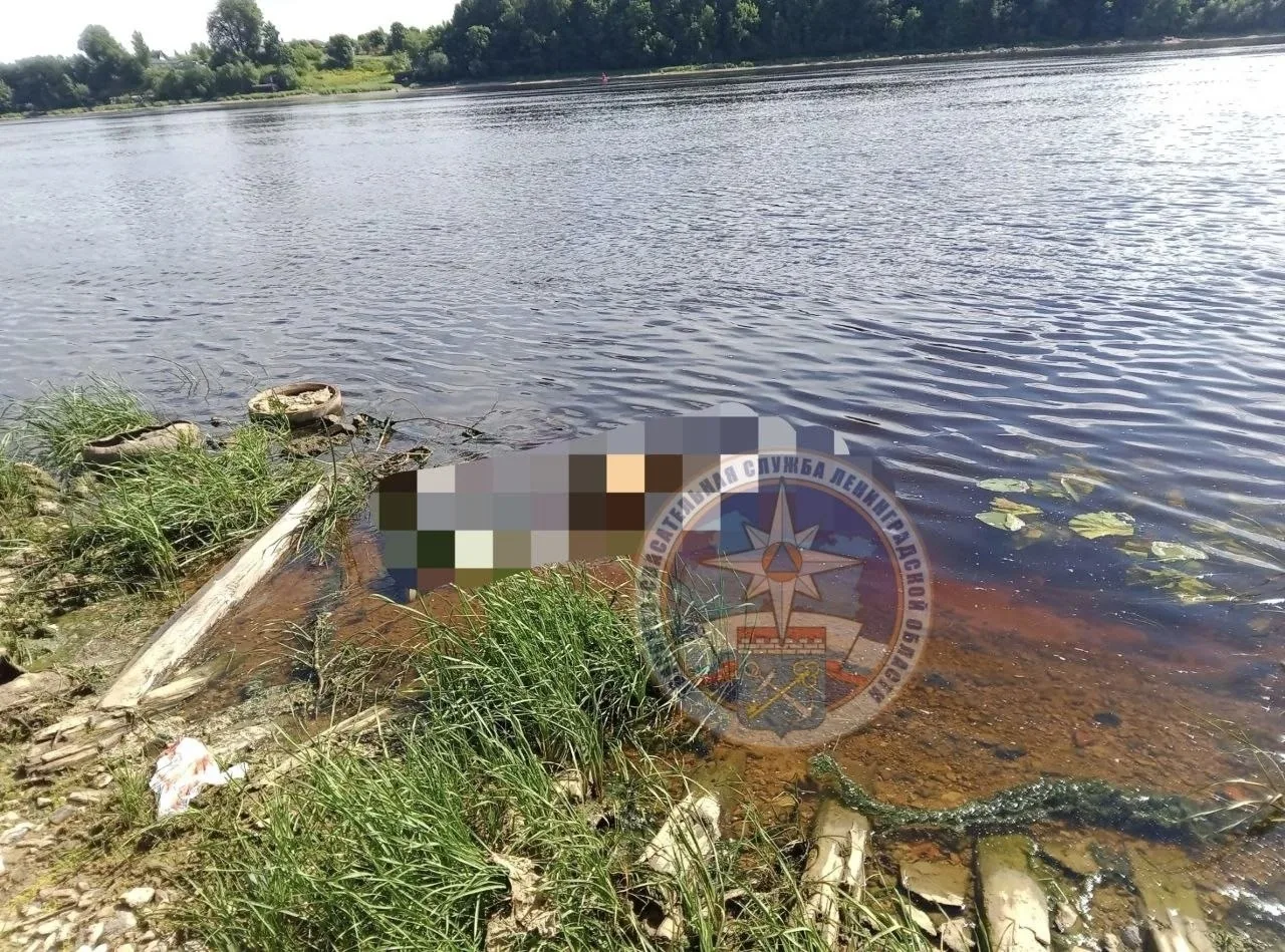 14 июня в Аварийно-спасательную службу Ленобласти поступило сообщение о том, что в реке Волхов в гор