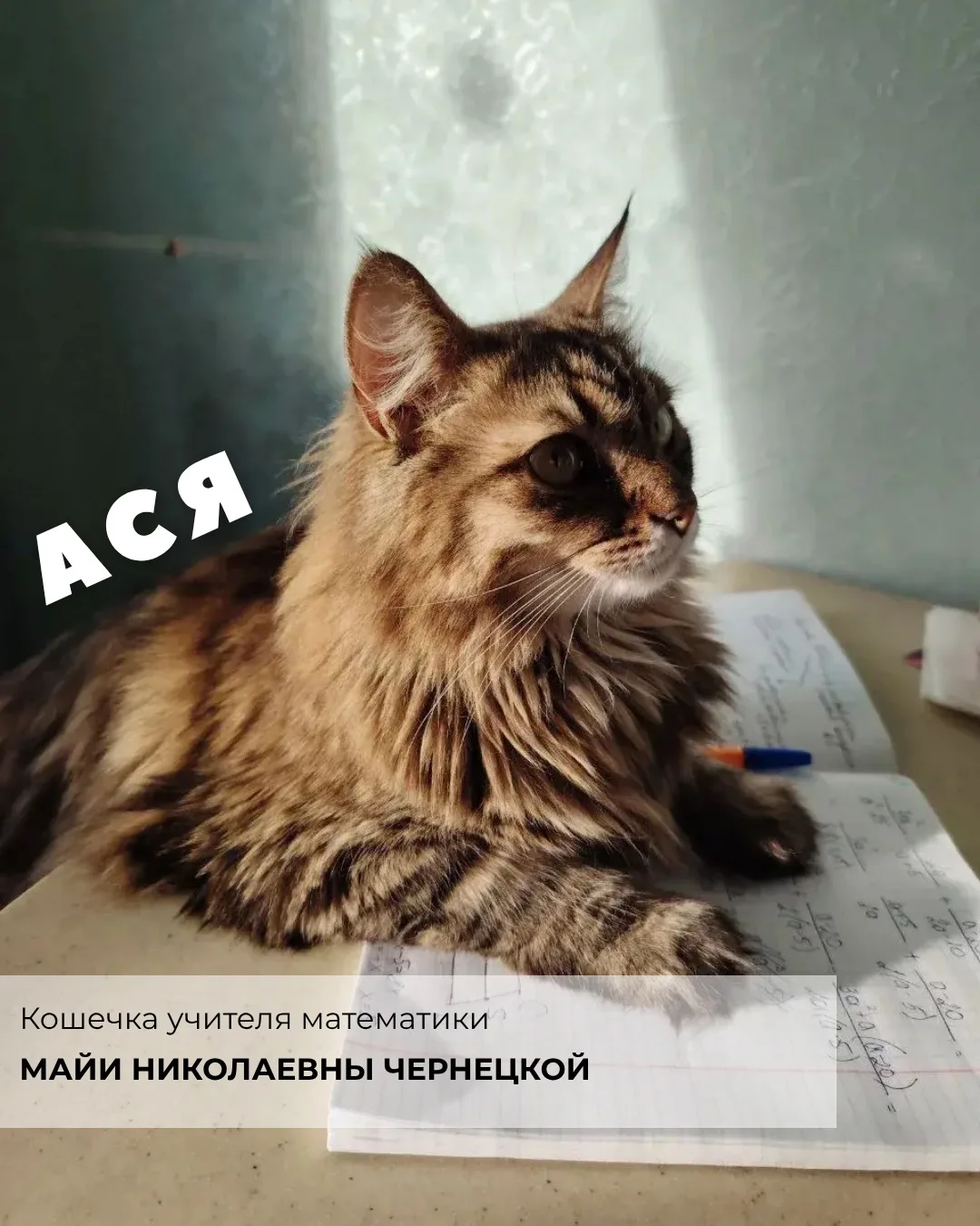 Изображение 4 к публикации «Бауманская инженерная школа №1580»