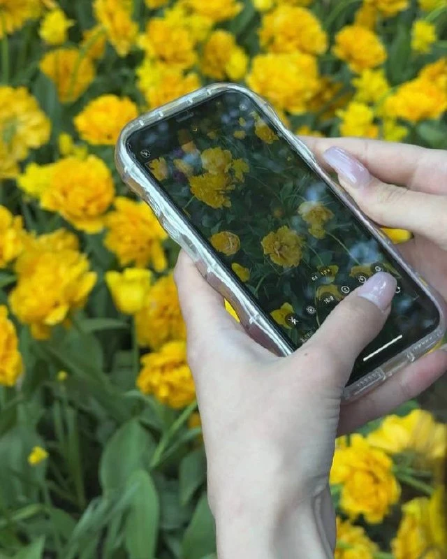 Тюльпаномания на Елагином❤️  Мы каждый год ездим на остров посмотреть Фестиваль тюльпанов — 16-17 и 