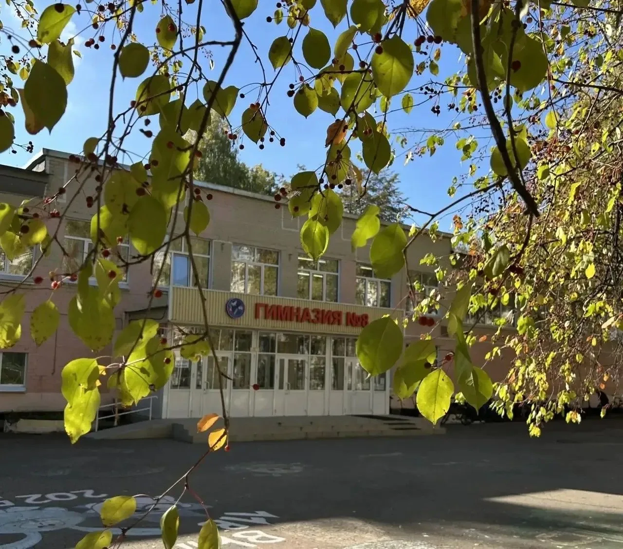 Пробный день