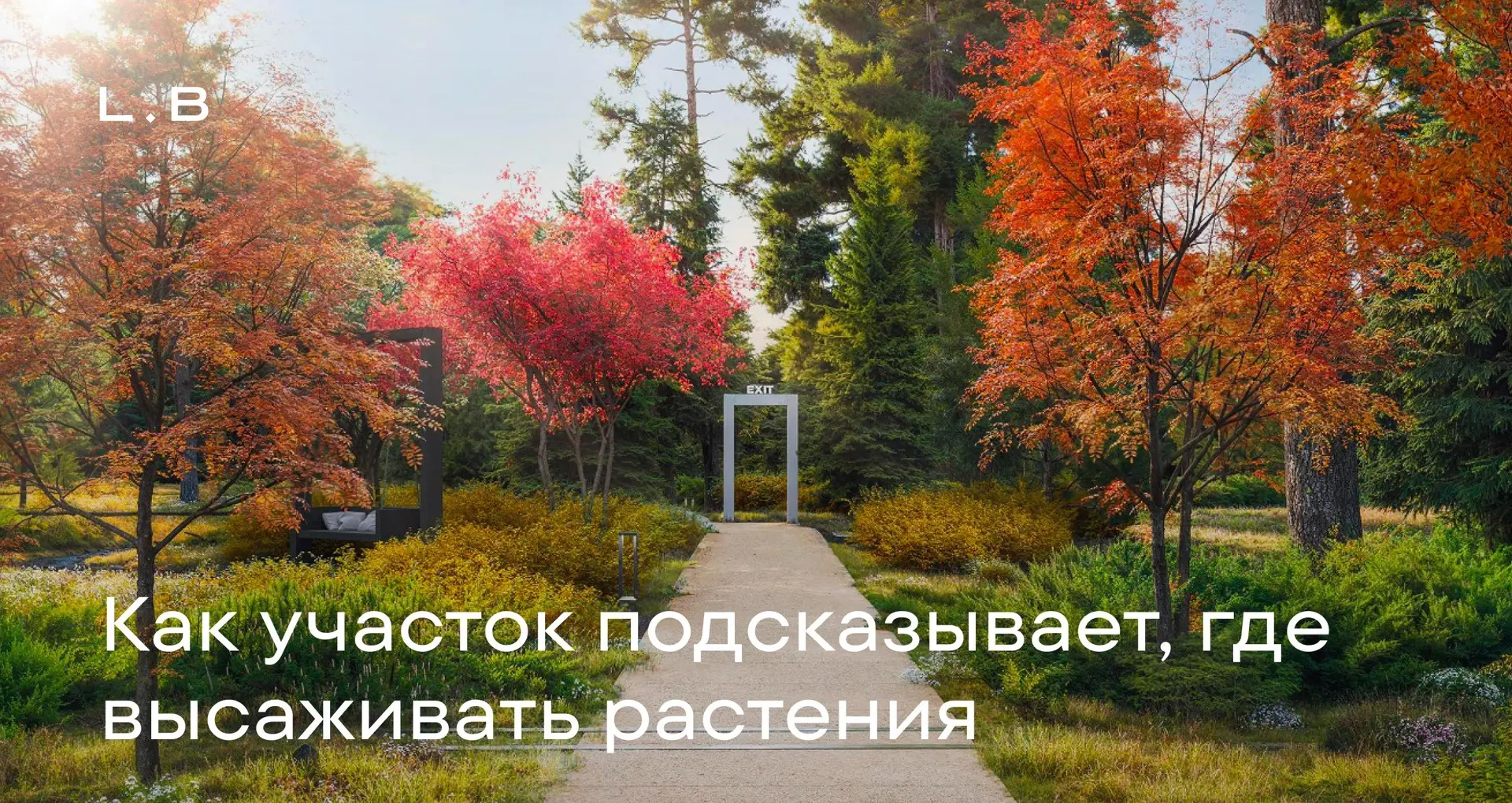 Солнце, ветер, деревья: как участок подсказывает, где высаживать растения

Ещё до проектирования уча