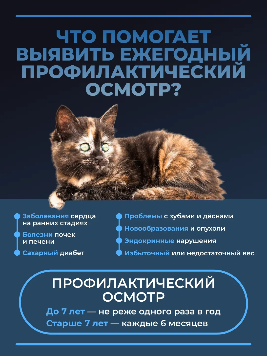 Многие владельцы обращаются к ветеринару только тогда, когда у питомца появляются явные...
