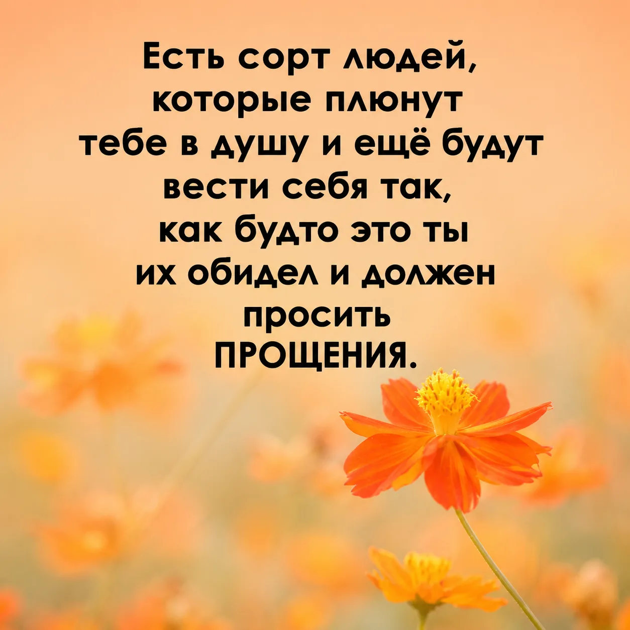 Оставьте любую реакцию 😊 Это лучшая благодарность для нас ❤️

Коллекция мыслей | Подписаться