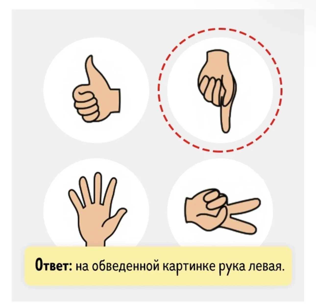 Видела правильные ответы 🥳
Кто отгадал?)