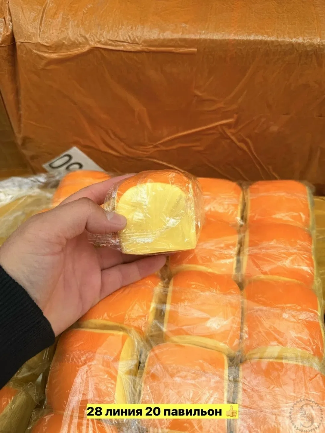 https://vk.com/photo-184814919_493579458