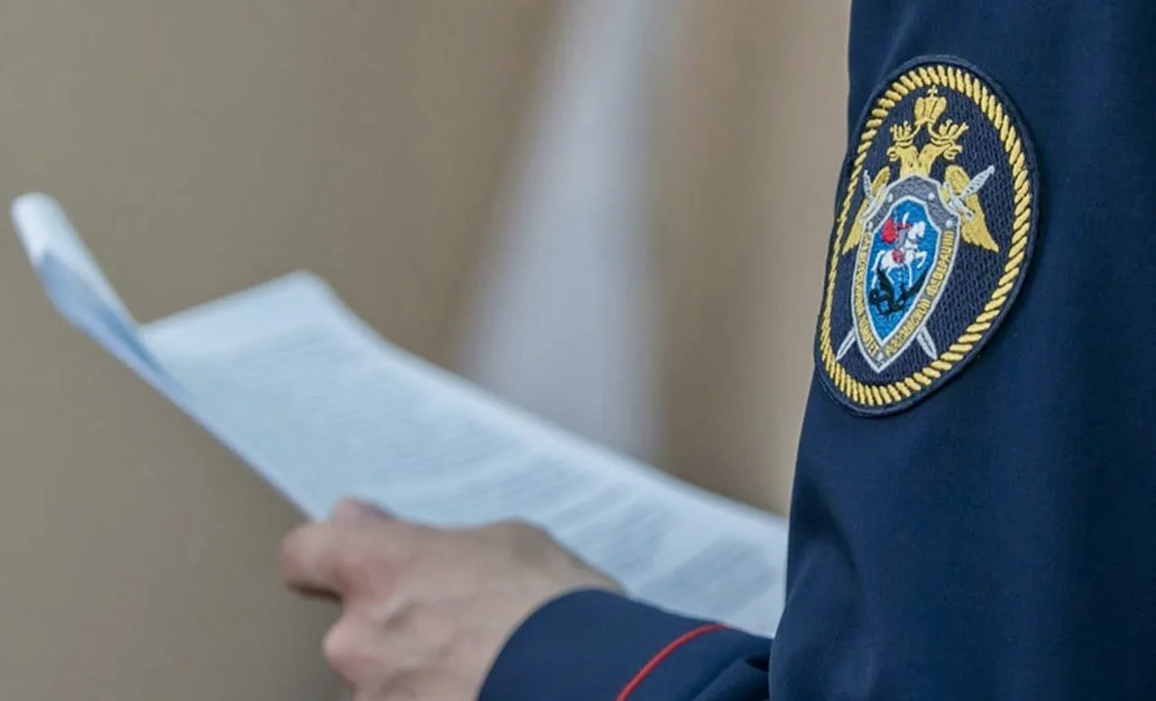 17-летний житель Красного Сулина предстанет перед судом за оправдание терроризма в инте...