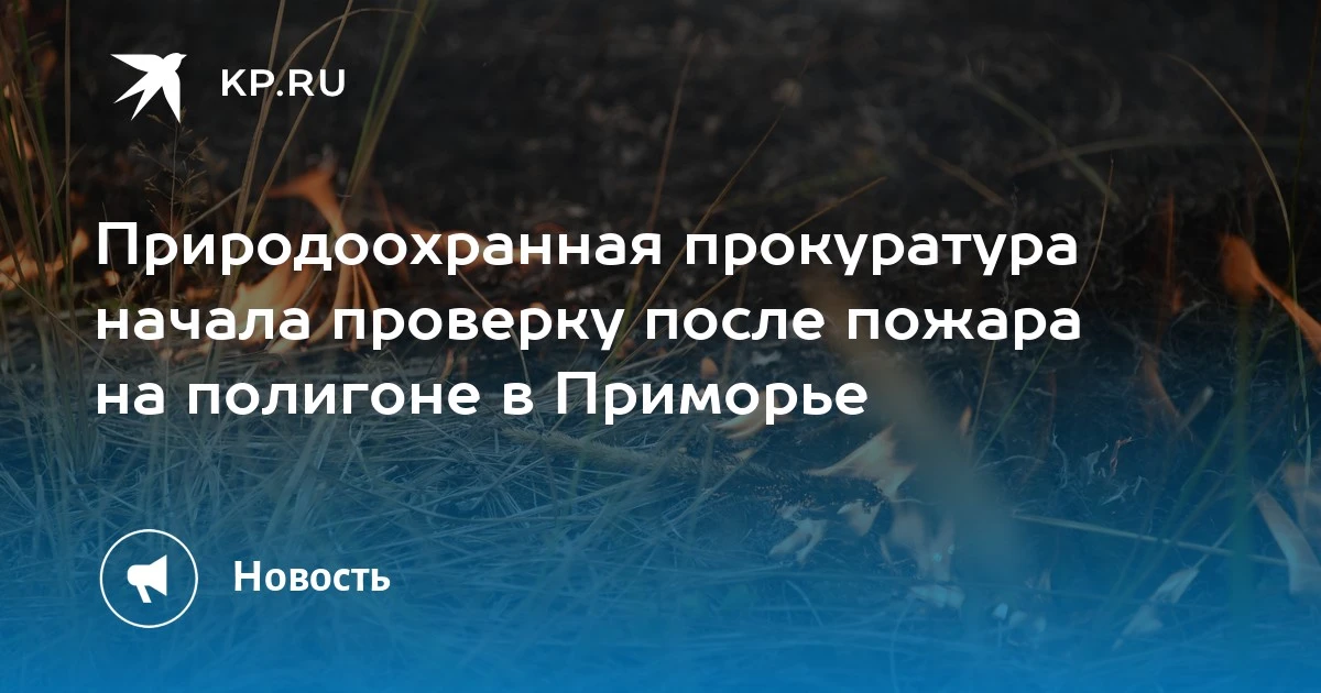 Пожар на полигоне в Приморье: начата проверка