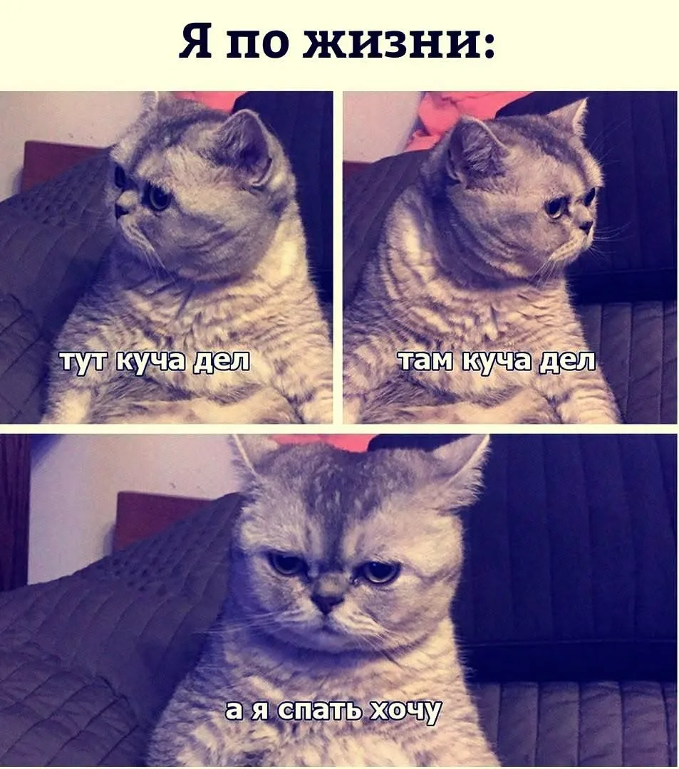 Подпишись на юмор 😂
