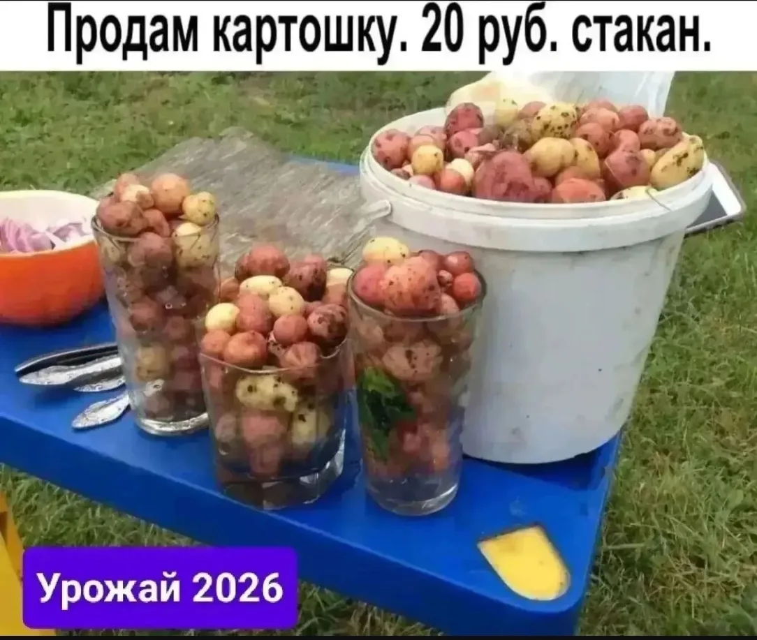 По теме вчерашнего урожая 😅😅😅