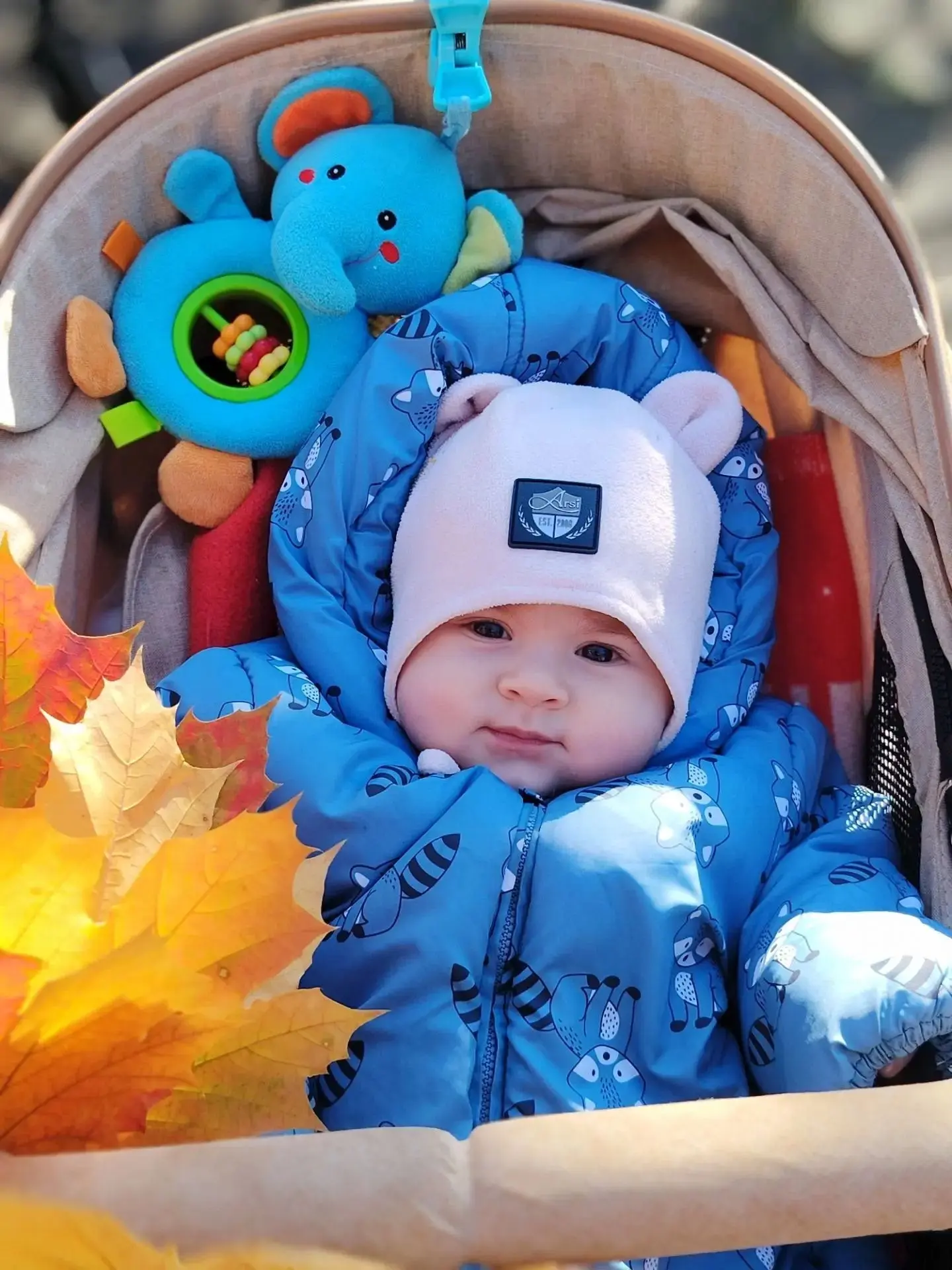 Ловим  тёплые лучики осени!🍂☀️