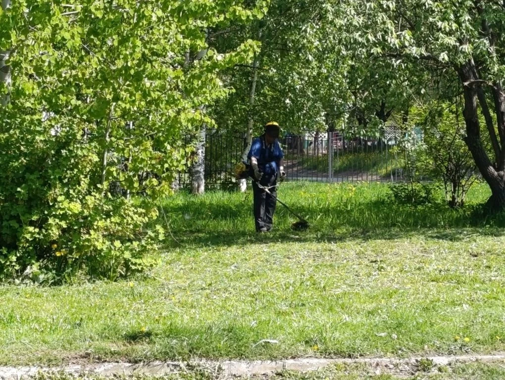 🌱🌱🌱БОЛЬШЕ 2 ГЕКТАРОВ ПРИШКОЛЬНОЙ ТЕРРИТОРИИ ПРИВЕДЕНЫ В ПОРЯДОК  💚 Работники школы приступили к поко